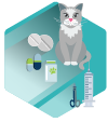 pharmacie